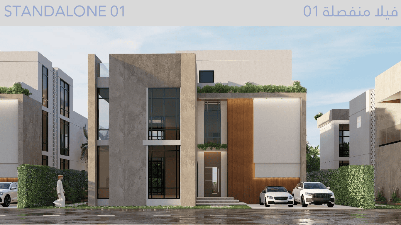 تلال النخيل